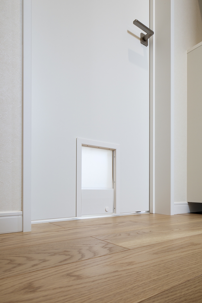 中庭を囲み2世帯がつながるシンプルハウスのEntrance