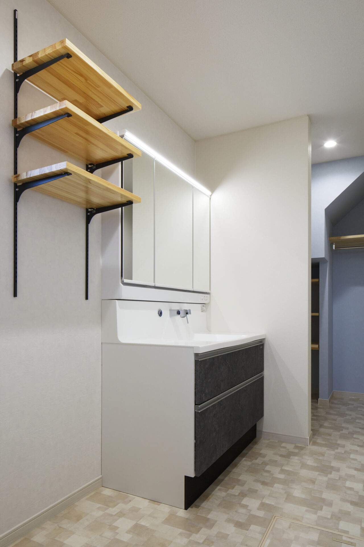 収納たっぷりナチュラルモダンな家のSanitary